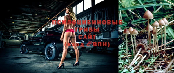 2c-b Аркадак