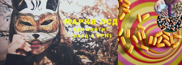 ешки Арсеньев