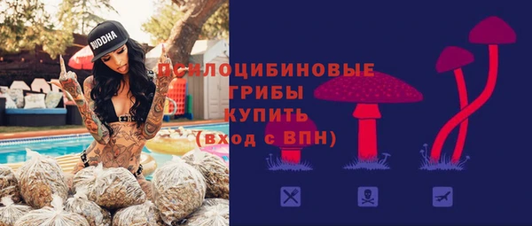 ешки Арсеньев